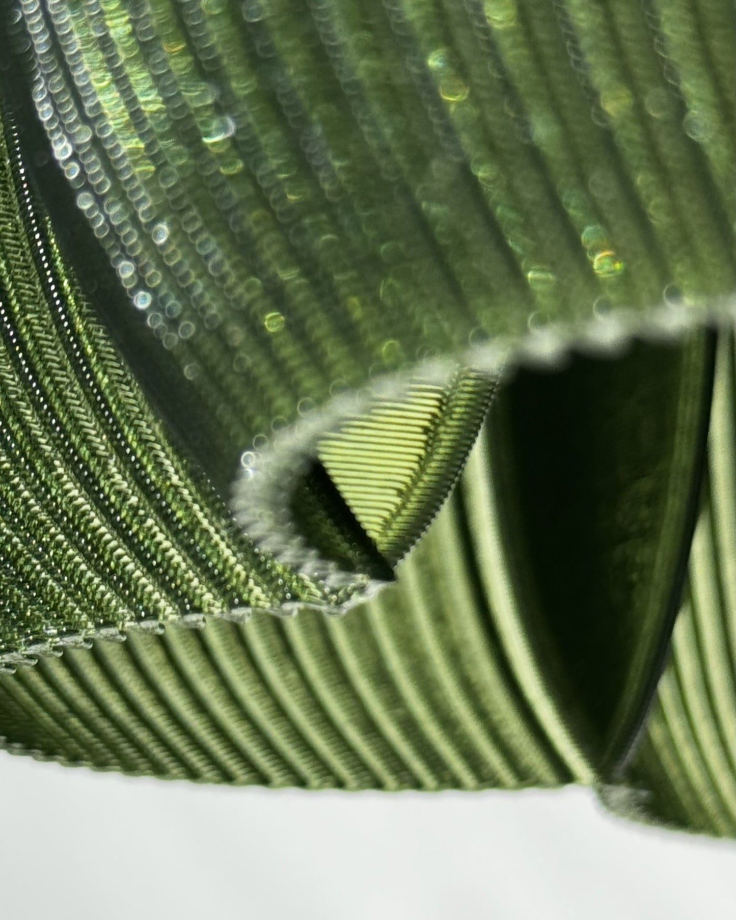 Petulia M Olivine