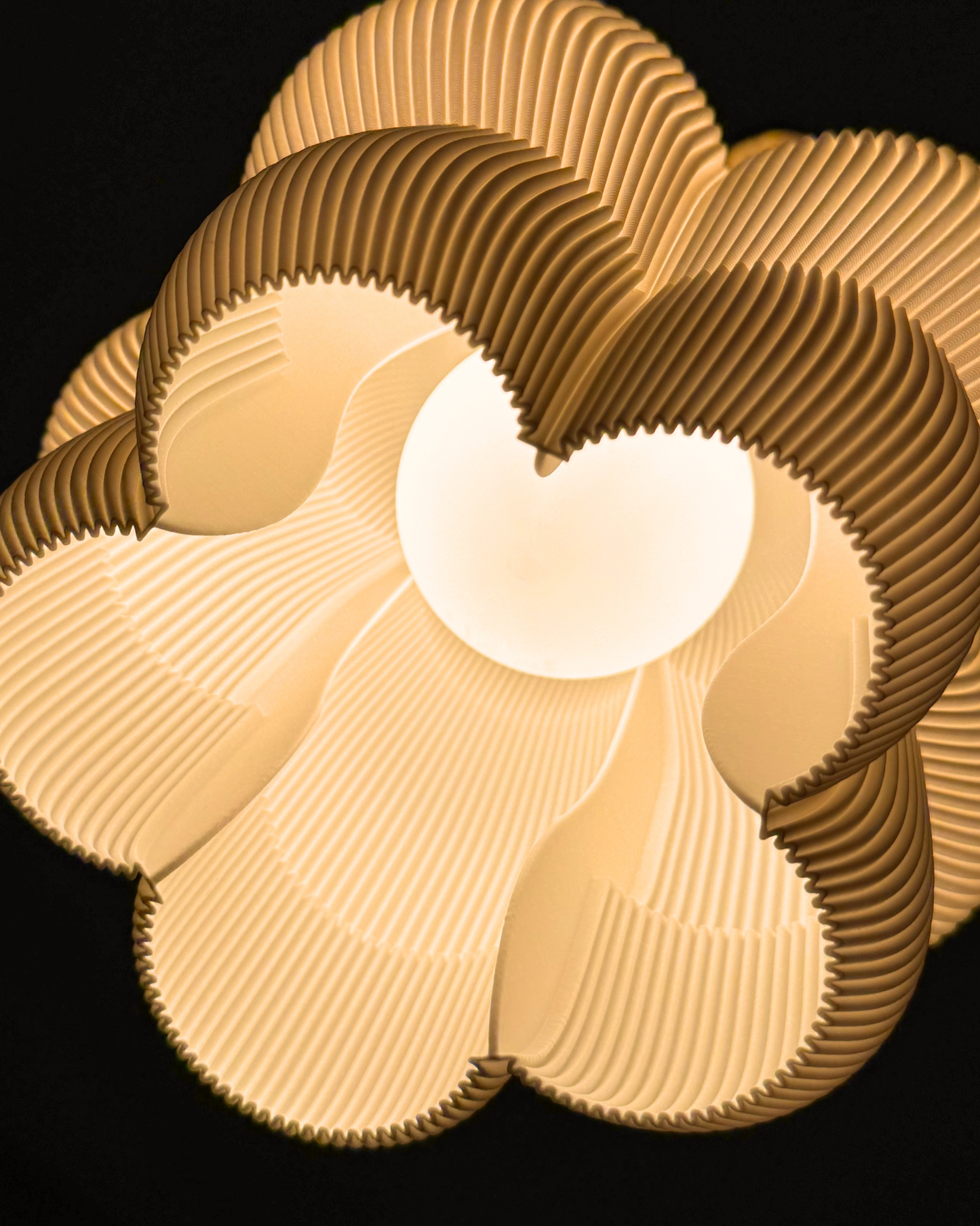 Petulia M Coconut